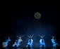 3 decembrie în “Lacul Lebedelor” la Sala Palatului Sursa foto Musicals.ro