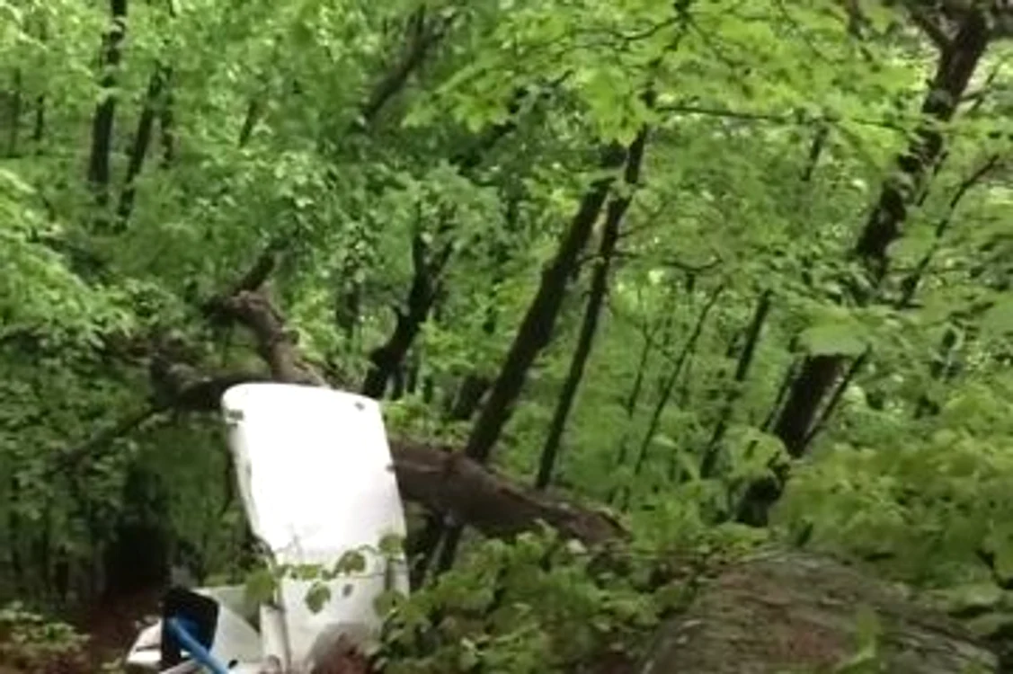 La bordul avionului se aflau două persoane