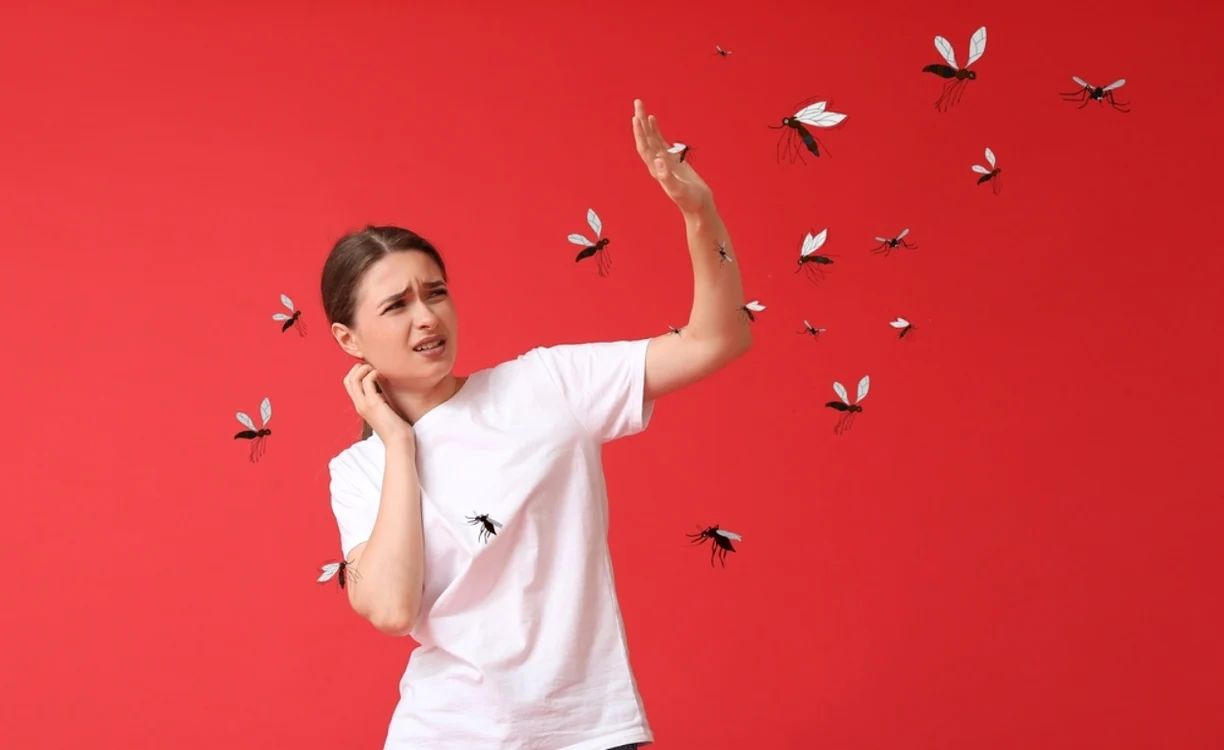 Un truc simplu poate ține țânțarii la distanță