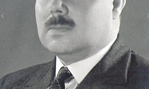 caradja foto observator cultural jpg