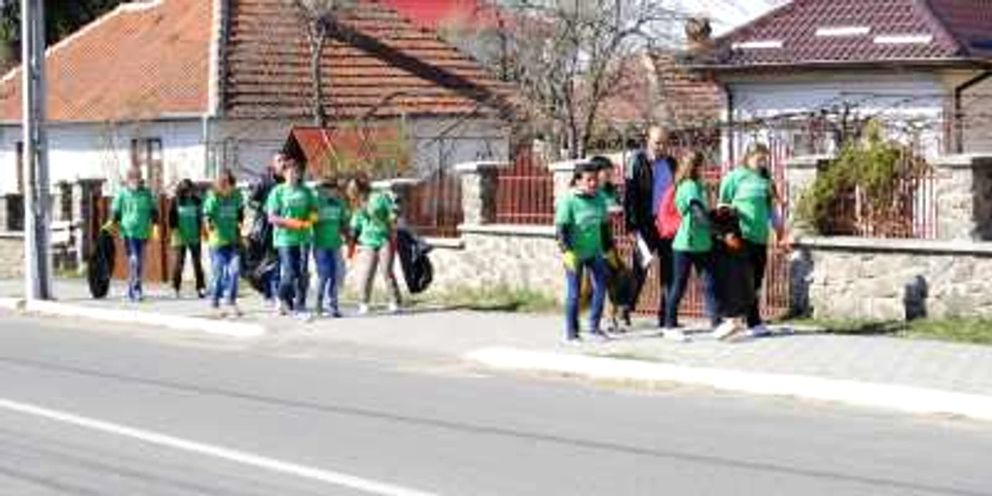 Elevii au plantat pini și au curățat gunoaiele 