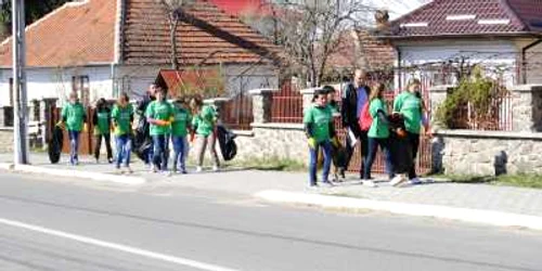 Elevii au plantat pini și au curățat gunoaiele