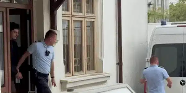 Pascu gif