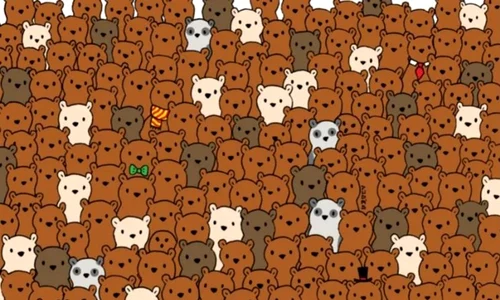 test jpg