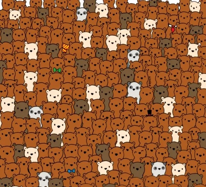 Unde se află nucile de cocos din imagine