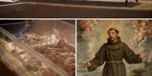 moastele sfantului francisc din assisi foto colaj captura video ndtv si wikipedia png