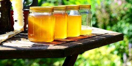 7 alimente pentru creşterea imunităţii şi a energiei creierului
