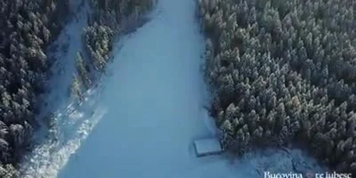 5c0a84c6df52022f75375557 jpg