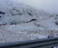Iarnă