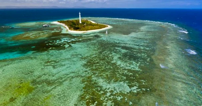 Sute de specii de animale pot fin întâlnite în zona Noii Caledonii. FOTO: Getty Images