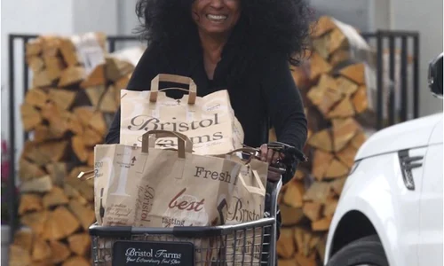 5 diana ross png png