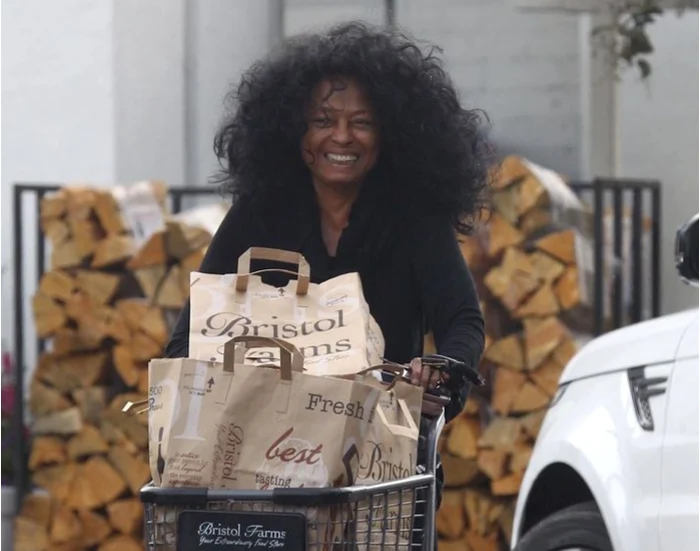 5 diana ross png png