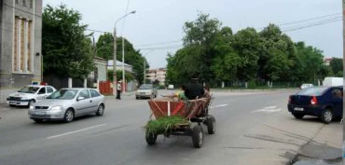 Slatina: Căruţaşii, un pericol pe şosele