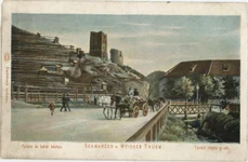 Cărăuș cu cartofi lângă turnurile Alb și Negru, primul sfert al sec. XX (© Muzeul de Etnografie Brașov)