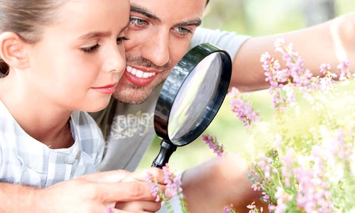 1 59017 original jpg jpeg