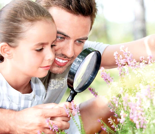 1 59017 original jpg jpeg