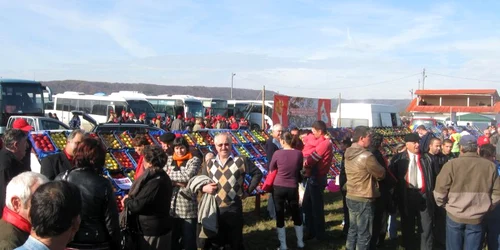 Târgovişte: Pomicultorii, nemulţumiţi la “Festivalul Mărului”