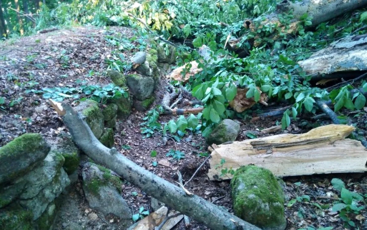 sarmizegetusa regia foto directia silvica hunedoara