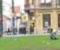 Protest inedit cu zebre în Piaţa Bălcesscu