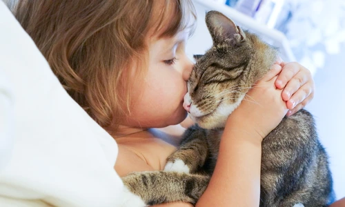 1 shutterstock 159813794 jpg jpeg