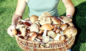 CLIIMA20120520 0041 1 jpeg