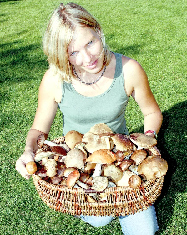 Ciupercile previn cancerul