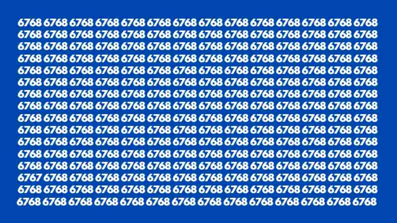 Trebuie să găsiți numărul „6767”