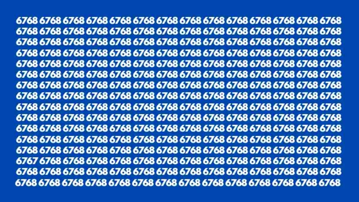 Trebuie să găsiți numărul „6767”
