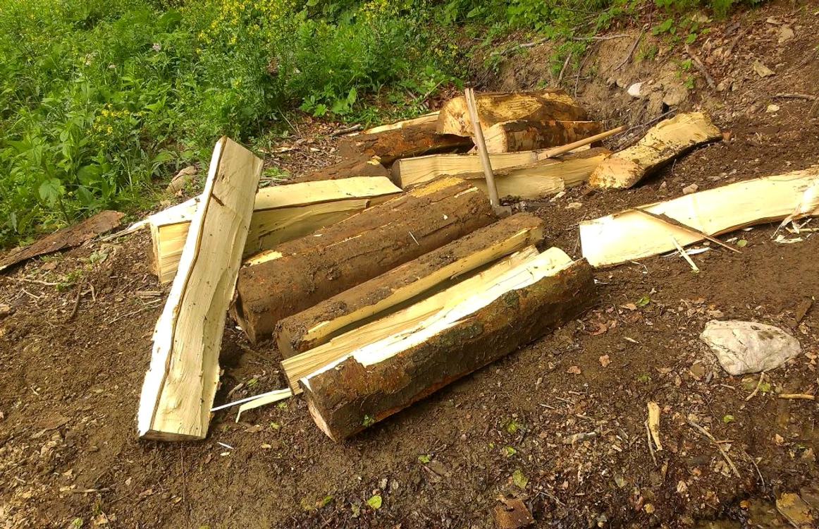 Lemnul tăiat din pădurea Regelui Mihai. FOTO Jandarmeria Prahova