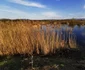 balta lebedelor hunedoara foto daniel guta adevarul