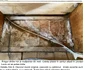 expertiza Prima Scoala Romaneasca 5, foto Facebook Electra Ghiza jpg