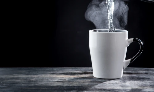 1 shutterstock 789650176 jpg jpeg