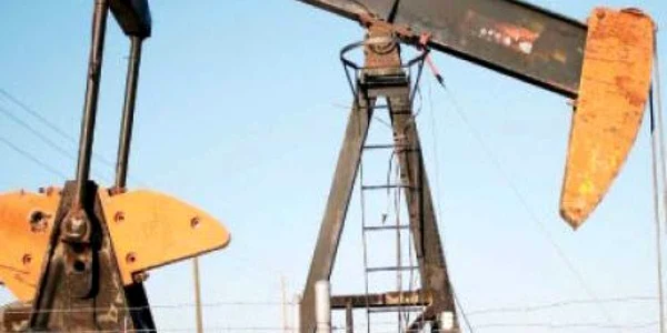 Sonda i s-a părut mult prea tentantă - imagine arhivă Adevărul