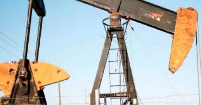 Sonda i s-a părut mult prea tentantă - imagine arhivă Adevărul