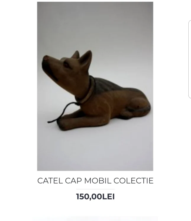 catel jucărie foto pralatul vechiturilor