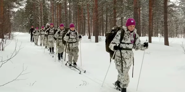 Captură de ecran 2024 11 24 164811 png