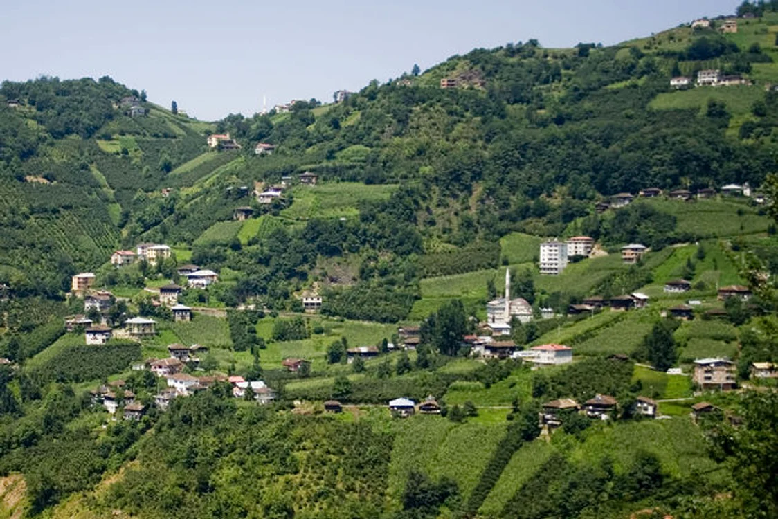Regiunea muntoasă Trabzon, din nordul Turciei, unde se produce mierea halucinogenă