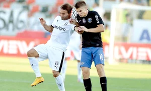 mare 8921615845111 jpeg