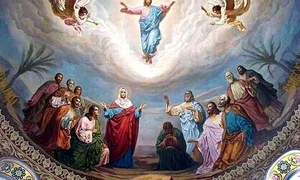 CLIIMA20140527 0180 1 jpeg