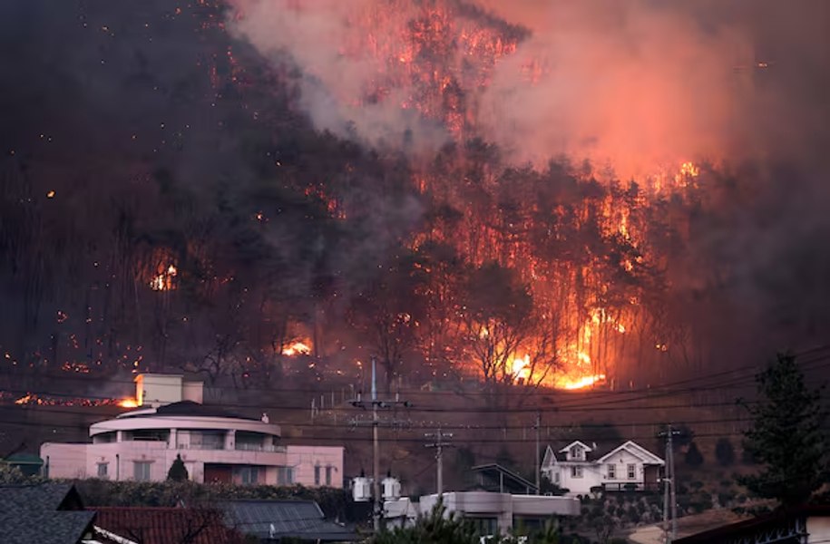  Un elicopter s-a prăbușit în timpul celor mai devastatoare incendii din Coreea de Sud. Flăcările au omorât 18 persoane