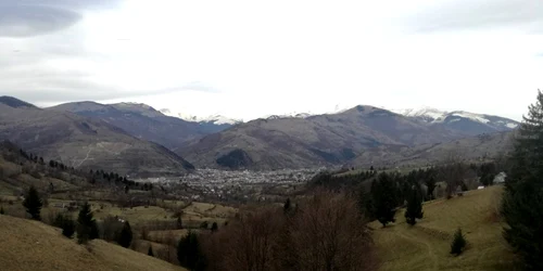 rodna