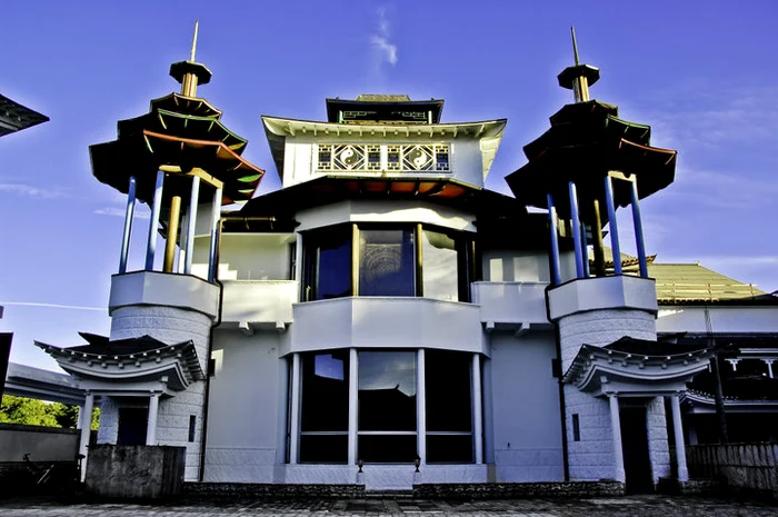 38920 460001641336 363406621336 5984229 338142 n jpeg