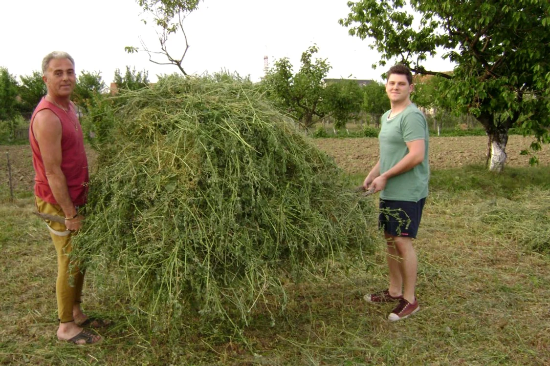 Aldo a fost alături de tatăl lui, Vasile, la cosit (foto: arhiva personală)