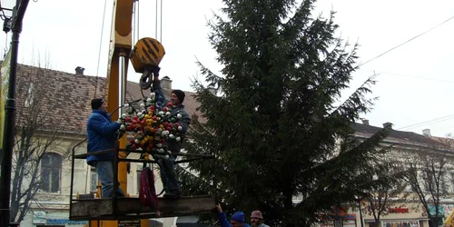 Primul brad a fost amenajat în această dimineaţă 