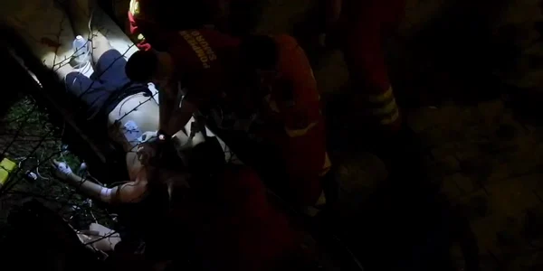 WhatsApp Video 2024 04 12 at 07 16 14 mp4 thumbnail png