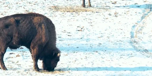 AQNulaZr1k1y82Ern5BAhFguFF9PHZ9tHnk6JcIi2ftCMOd5E5h5EL3U769vPI89jz23nT5Q5LvPqUGImEcIR JgQgeSUjh2BgSlUOw879fg4g mp4 thumbnail png