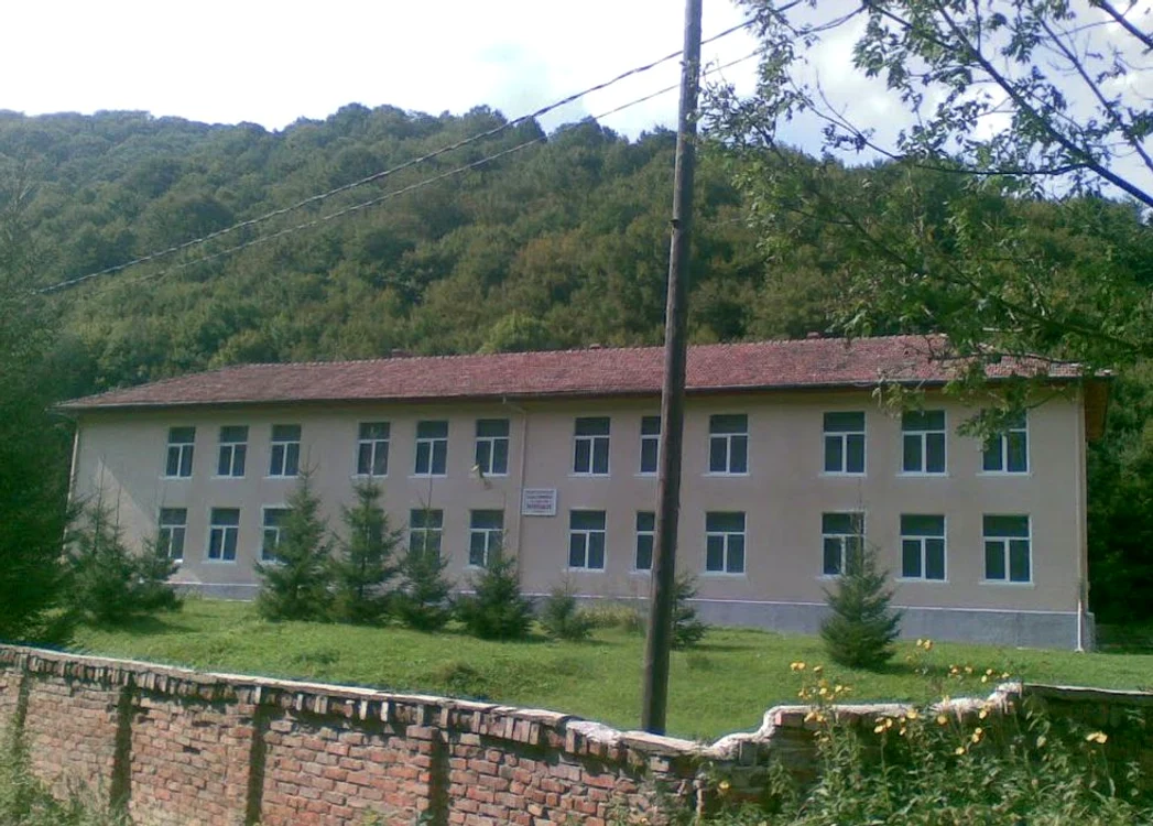 Școala din Întregalde va fi modernizată FOTO Adevărul