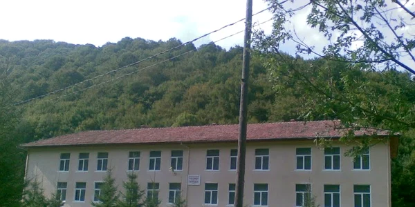 scoala intregalde jpg
