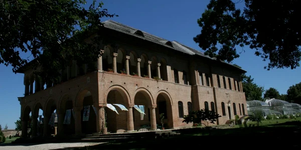 campanie mogosoaia
