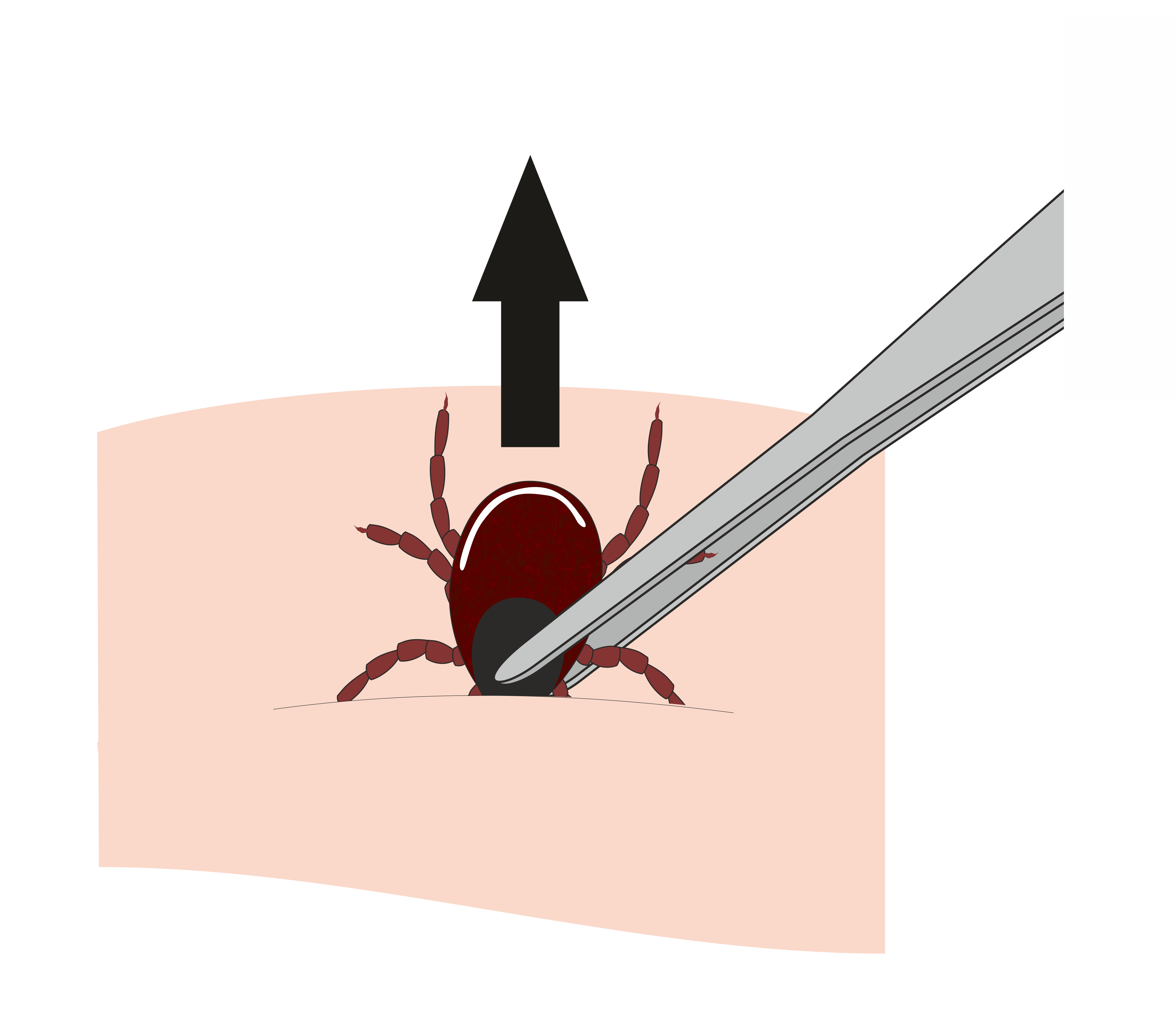 shutterstock 1069649438 jpg